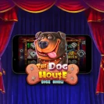 the dog house dice show pragmatic